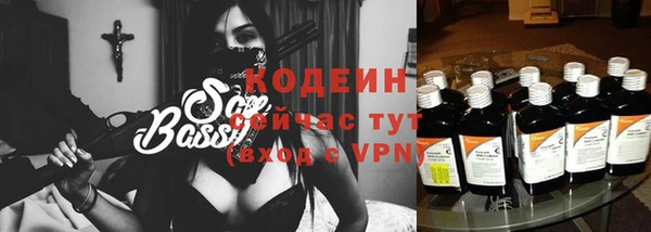 прущие грибы Елизово