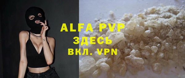 прущие грибы Елизово