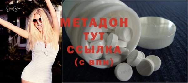 прущие грибы Елизово