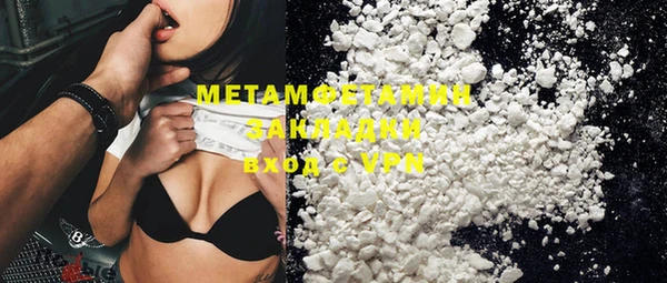 прущие грибы Елизово