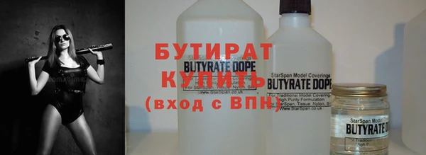 прущие грибы Елизово