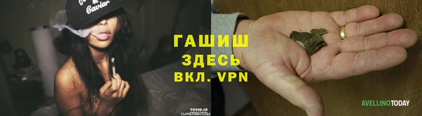 прущие грибы Елизово