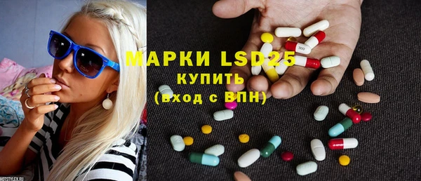 прущие грибы Елизово