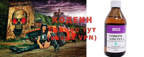 прущие грибы Елизово
