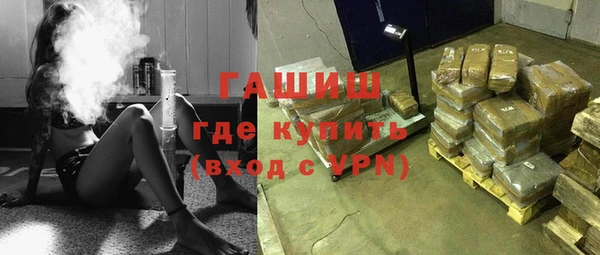 прущие грибы Елизово