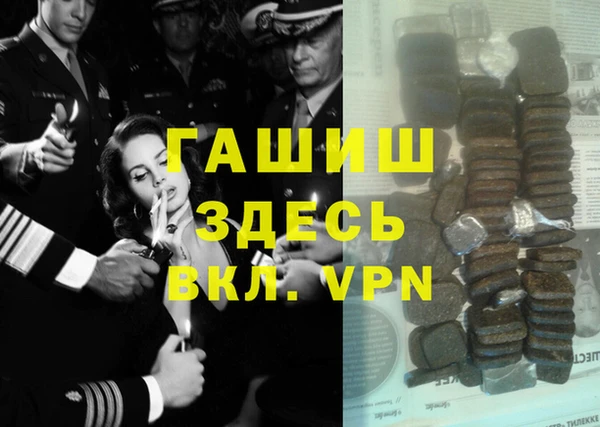 прущие грибы Елизово