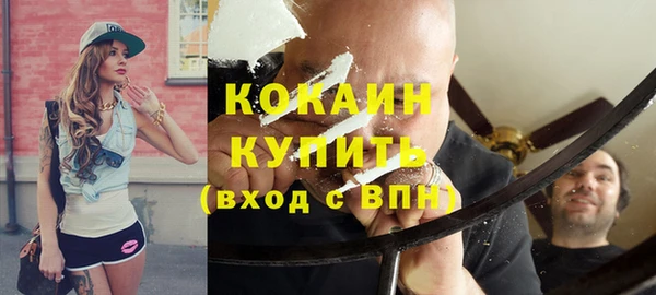 прущие грибы Елизово