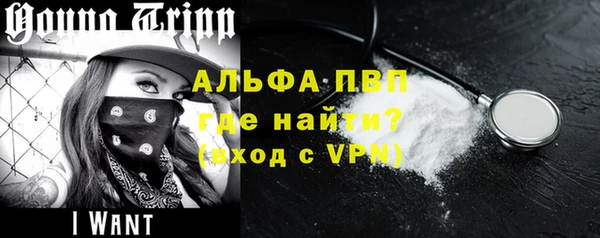 прущие грибы Елизово