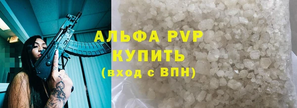 прущие грибы Елизово