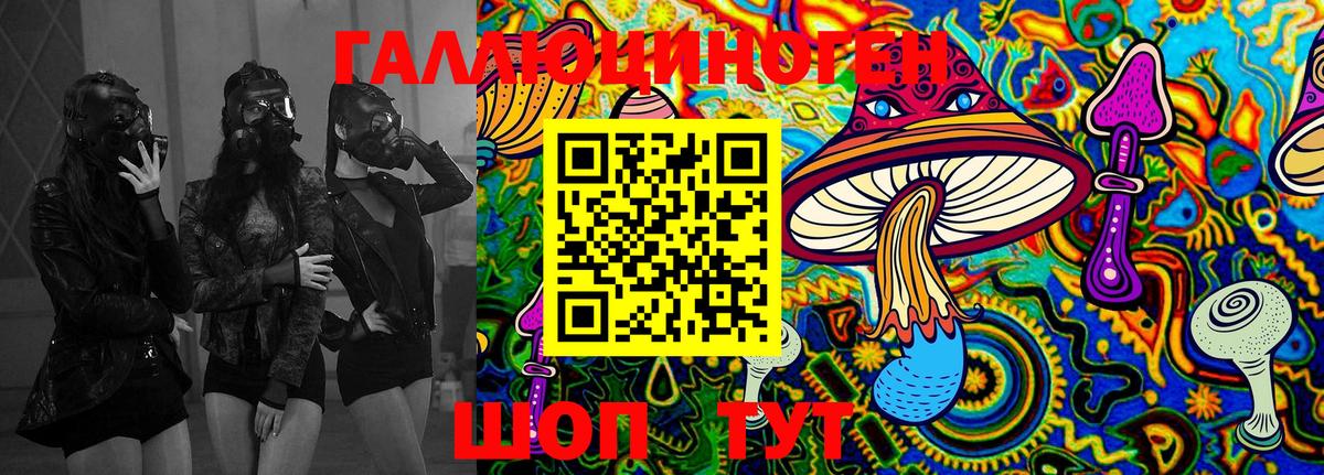 Псилоцибиновые грибы мицелий  Псилоцибиновые грибы Cubensis  Большой Камень 