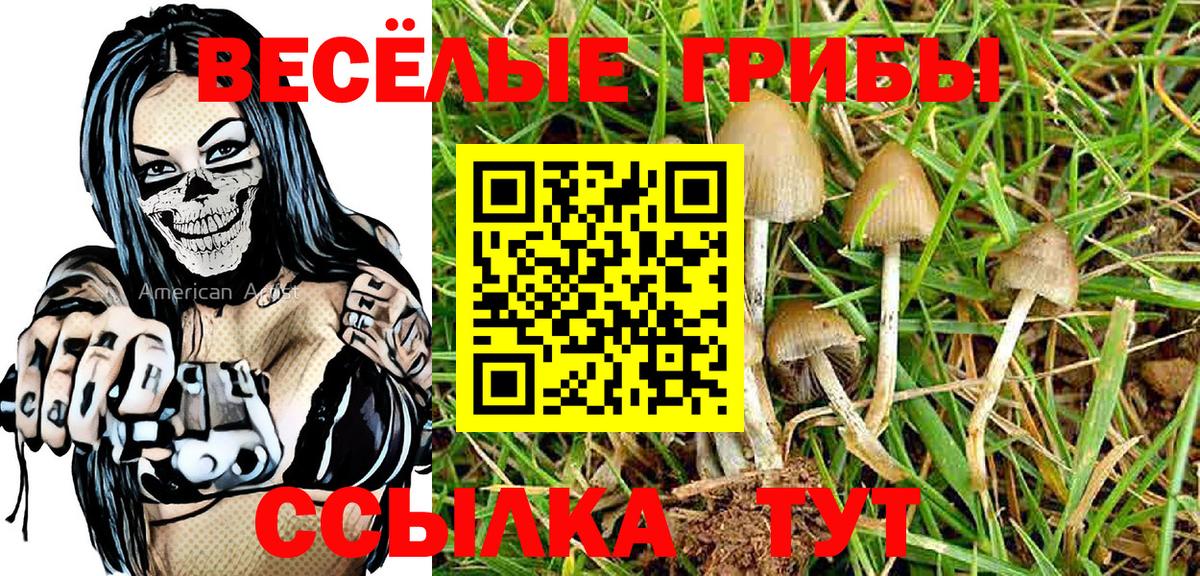 Галлюциногенные грибы Psilocybine cubensis Большой Камень